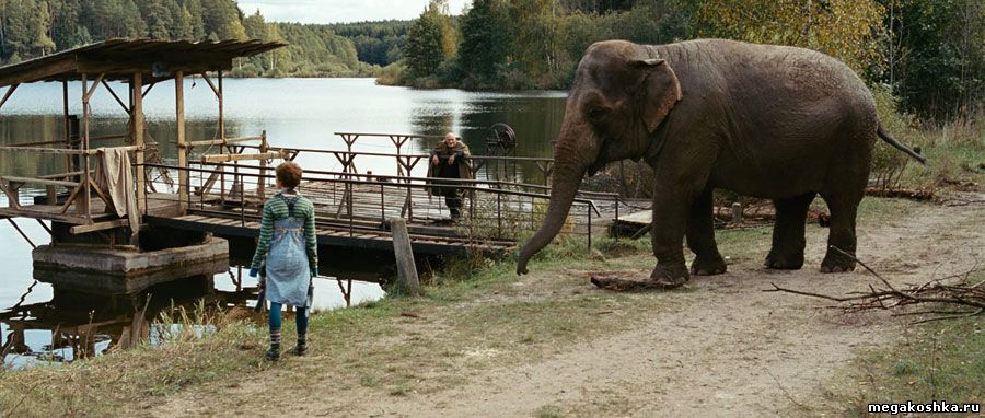 фильм слон