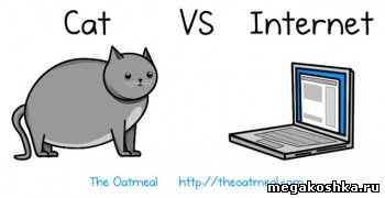 кот против интернета