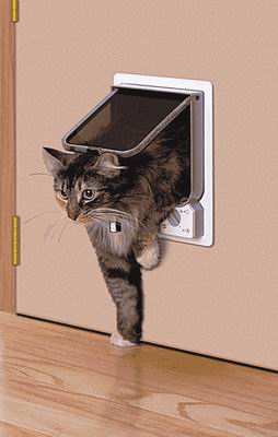 бум продаж электронных дверей для кошек