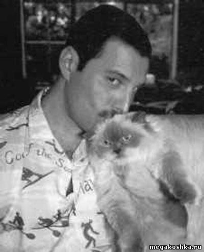 Фреди Меркьюри и его кошка