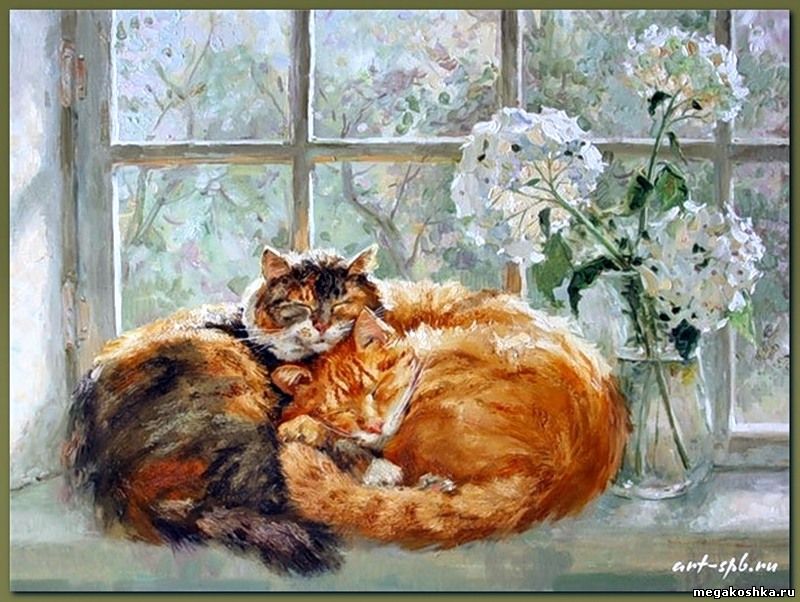 спящие кошки