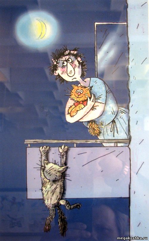 рисунки котов