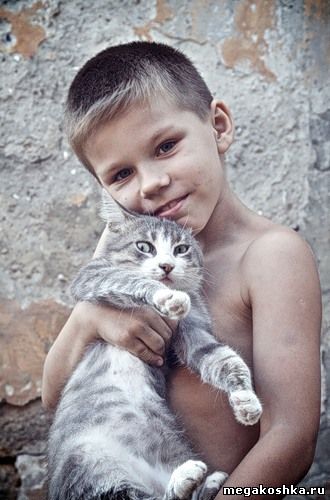 коты