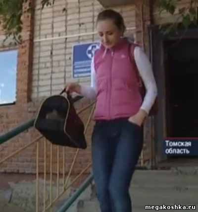 кошка выжила в авикатастрофе