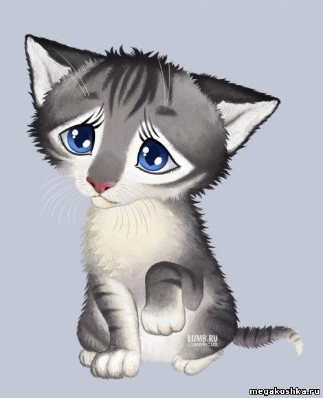 грустный кот